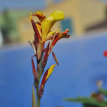 بيت للعطل Adosado La Tabaiba