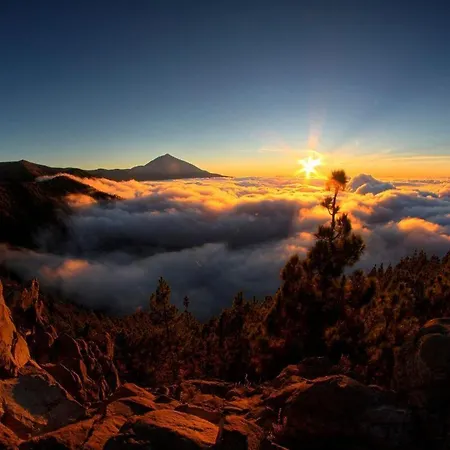 Adosado La Tabaiba * San Miguel de Abona